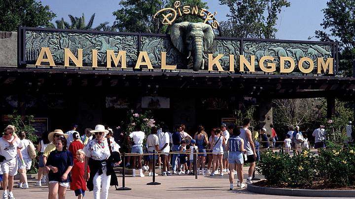 Guests at Disney’s Animal Kingdom entrance in 1999, capturing the exact era of the park's 1998 time capsule. Guests at Disney’s Animal Kingdom entrance in 1999, capturing the exact era of the park's 1998 time capsule.