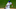 Mets Mets