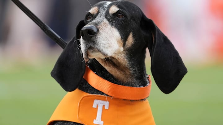 Nov 23, 2024; Knoxville, Tennessee, USA; Tennessee Volunteers mascot Smokey at a game against the UTEP Miners at Neyland Stadium. Mandatory Credit: Angelina Alcantar/USA TODAY Network via Imagn Images Nov 23, 2024; Knoxville, Tennessee, USA; Tennessee Volunteers mascot Smokey at a game against the UTEP Miners at Neyland Stadium. Mandatory Credit: Angelina Alcantar/USA TODAY Network via Imagn Images