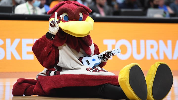 South Carolina Gamecocks mascot Cocky