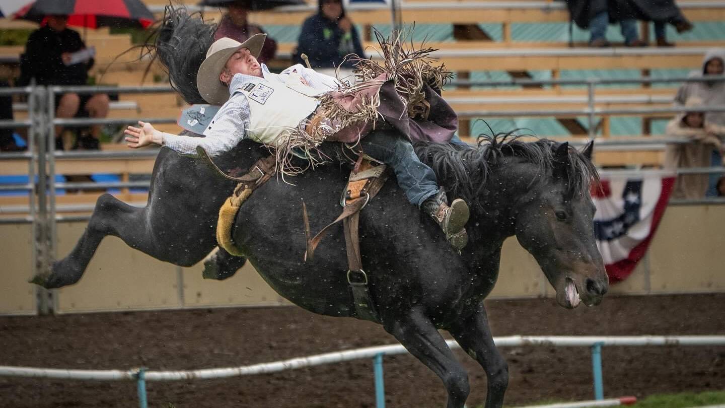 Weston Timberman the 2024 Resistol Rookie Bareback Champion