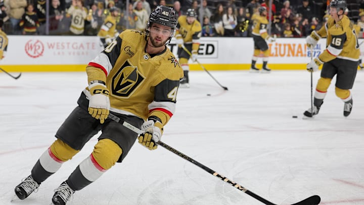 Florida Panthers v Vegas Golden Knights