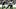 Jaylen Warren, Pittsburgh Steelers, 2026 Fantasy Football Jaylen Warren, Pittsburgh Steelers, 2026 Fantasy Football