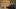 NARCOS_301_Unit_00124R NARCOS_301_Unit_00124R