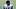 San Francisco 49ers wide receiver De'Zhaun Stribling