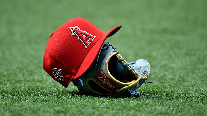 Los Angeles Angels v Tampa Bay Rays