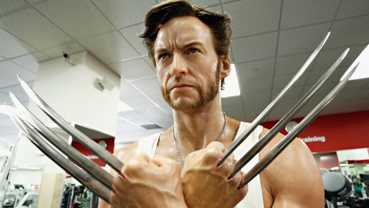 Madame Tussauds New York To Launch A Wax Figure Of "Wolverine"