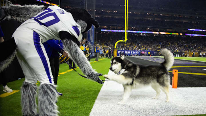 Jan 8, 2024; Houston, TX, USA; Washington Huskies mascot Harry the Husky (left) greets dog Dubs II during the 2024 College Football Playoff national championship game at NRG Stadium. Mandatory Credit: Mark J. Rebilas-Imagn Images