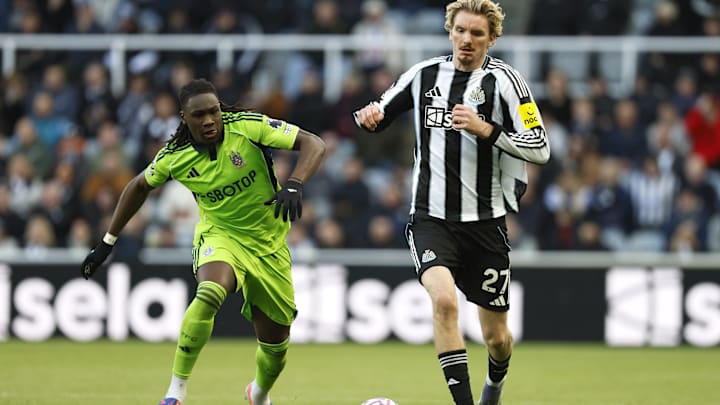 Newcastle United v Fulham - Premier League - St James' Park Newcastle United v Fulham - Premier League - St James' Park