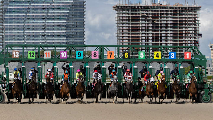 GulfStream Starting Gate