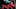 Squidgame_Unit_301_N016025 Squidgame_Unit_301_N016025