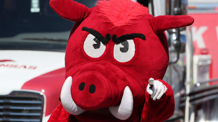 Nov 5, 2022; Fayetteville, Arkansas, USA; Arkansas Razorbacks mascot during the Razorbacks walk prior to the game against the Liberty Flames at Donald W. Reynolds Razorback Stadium. Mandatory Credit: Nelson Chenault-Imagn Images