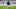 Jack Grealish