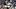 Amar Dedic, Andy Robertson Amar Dedic, Andy Robertson