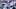 New York Yankees left fielder Cody Bellinger
