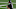 NY Jets NY Jets