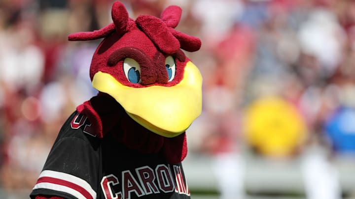 South Carolina football mascot Cocky