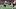 Chicago Bears tight end Colston Loveland. Chicago Bears tight end Colston Loveland.