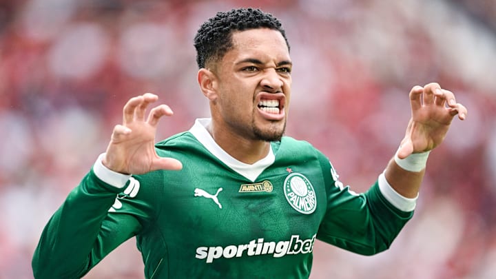 Flamengo v Palmeiras - Brasileirao 2025