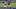 Davante Adams, Los Angeles Rams, 2026 Fantasy Football Davante Adams, Los Angeles Rams, 2026 Fantasy Football