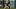 San Francisco Giants second baseman Luis Arraez