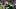 Green Bay Packers kicker Lucas Havrisik Green Bay Packers kicker Lucas Havrisik