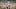 TWD_416_GP_1122_0317