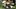 Texas Longhorns running back Derrek Cooper Texas Longhorns running back Derrek Cooper