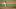 Hunter Green Hunter Green