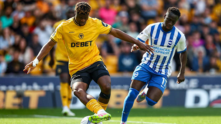 Wolverhampton Wanderers FC v Brighton & Hove Albion FC - Premier League