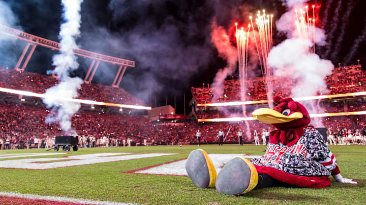 Nov 23, 2024; Columbia, South Carolina, USA; South Carolina Gamecocks mascot Cocky sits on the field between the third and fourth quarters of a game between the South Carolina Gamecocks and Wofford Terriers at Williams-Brice Stadium. Mandatory Credit: Jeff Blake-Imagn Images