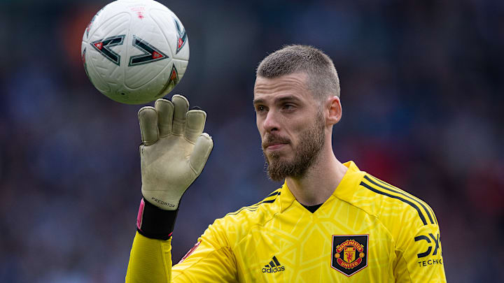 David de Gea David de Gea
