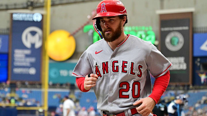 Los Angeles Angels v Tampa Bay Rays