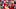 San Francisco 49er San Francisco 49er