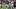 College Football Rankings: ESPN Reshuffles the New Top 25 Poll for Week 6 College Football Rankings: ESPN Reshuffles the New Top 25 Poll for Week 6