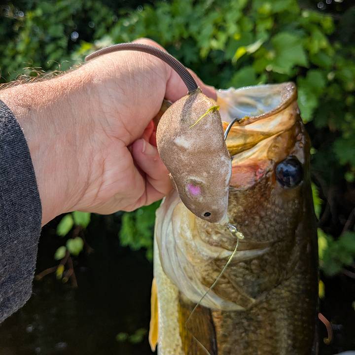 baitcasting reel rod combo Agility Low Profile Combo Left
