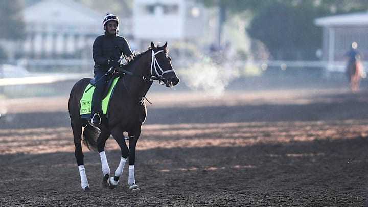 Kentucky Derby contender Catching Freedom walks off the track on a brisk morning.