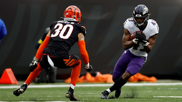 Baltimore Ravens v Cincinnati Bengals