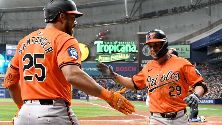 Aug 10, 2024; St. Petersburg, Florida, USA; Baltimore Orioles third baseman Ramon Urias (29) is greeted by designated hitter Anthony Santander (25) after hitting a two run home run in the eighth inning against the Tampa Bay Rays at Tropicana Field. Mandatory Credit: Jonathan Dyer-USA TODAY Sports