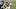 New England Patriots cornerback Christian Gonzalez New England Patriots cornerback Christian Gonzalez
