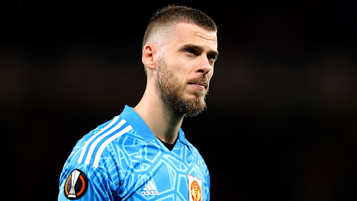 David de Gea has fallen out of favour at international level
