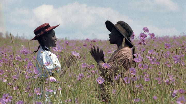 TCM Big Screen Classics Presents 'The Color Purple'.. Academy Award® winner Whoopi Goldberg, Danny Glover and Oprah Winfrey star in director Steven Spielberg's adaptation of Alice Walker's Pulitzer Prize-winning novel The Color Purple.. Image Courtesy Fathom Events and Turner Classic Movies
