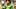 Oregon Ducks quarterback Dante Moore dylan raiola injury transfer nebraska cornhuskers dan lanning portland state usc trojans Oregon Ducks quarterback Dante Moore dylan raiola injury transfer nebraska cornhuskers dan lanning portland state usc trojans