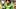 Oregon Ducks quarterback Dante Moore dylan raiola injury transfer nebraska cornhuskers dan lanning portland state usc trojans Oregon Ducks quarterback Dante Moore dylan raiola injury transfer nebraska cornhuskers dan lanning portland state usc trojans