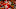 Patrick Mahomes - American Football Quarterback Patrick Mahomes - American Football Quarterback