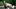 MLB: MAY 16 Diamondbacks at Rockies MLB: MAY 16 Diamondbacks at Rockies