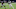 Tevin Coleman