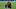 FBL-ESP-LIGA-BARCELONA-RACING FBL-ESP-LIGA-BARCELONA-RACING
