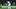 TOPSHOT-FBL-EUR-C1-BARCELONA-PSG