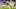 Minnesota Vikings running back Jordan Mason (27) runs the ball against Green Bay Packers cornerback Trevon Diggs.